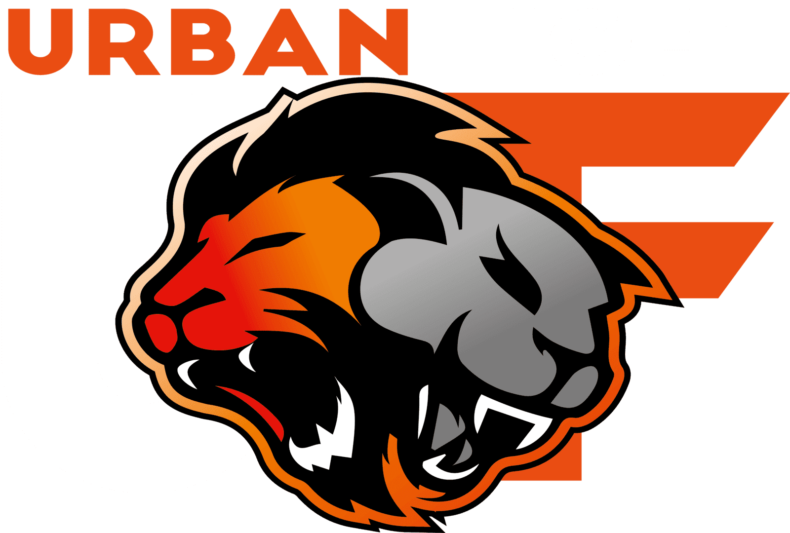 urban-fight